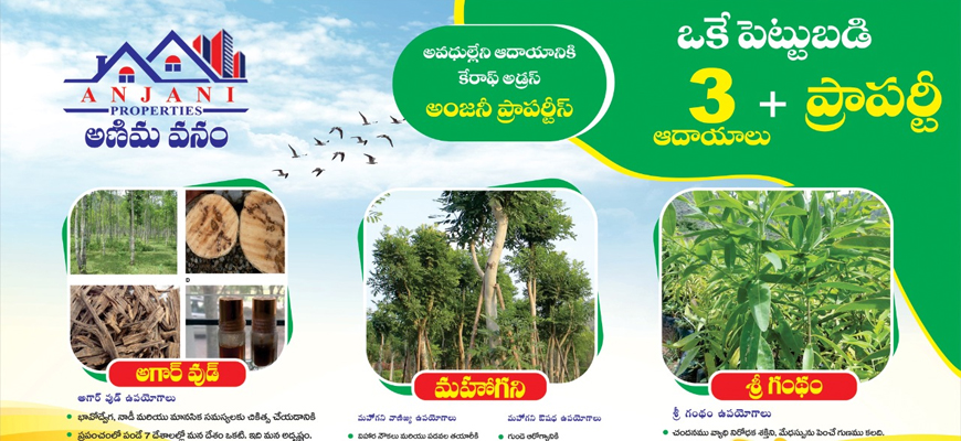 Animavanam
